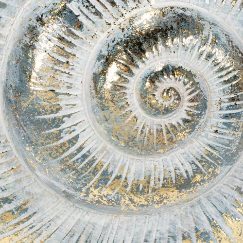 Prodotto Contenitore decorativo a forma di lumaca per decorazioni murali in stile marittimo e naturale, grigio, 21 cm