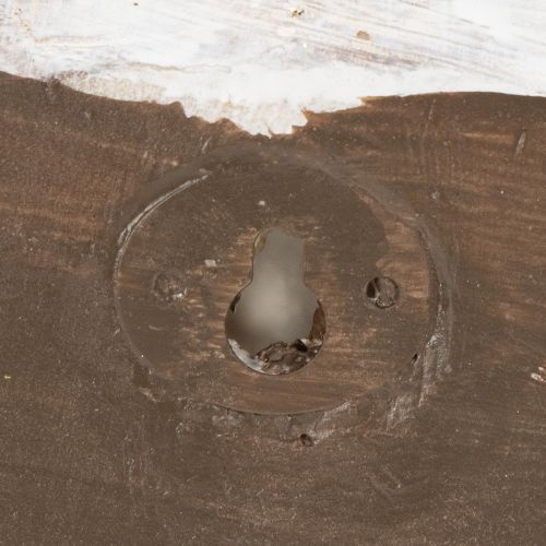 Prodotto Contenitore decorativo a forma di lumaca per decorazioni murali in stile marittimo e naturale, grigio, 21 cm