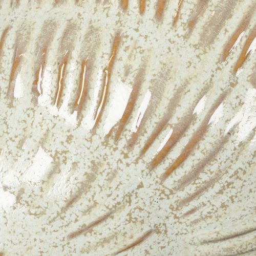 Prodotto Ciotola in ceramica con motivo a conchiglia per una decorazione elegante nel soggiorno, 23 cm