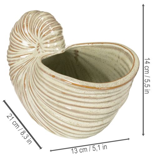 Prodotto Vaso da fiori in ceramica con motivo a chiocciola per composizioni vegetali speciali, 21 cm