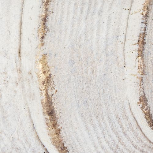 Prodotto Forma decorativa a conchiglia per un elegante arredo marittimo, 44 cm