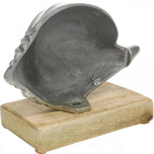 Prodotto Scocca in metallo, decorazione marittima per posizionare argento, colori naturali H15cm L18,5cm