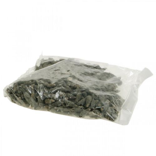 Prodotto Oggetti naturali, gusci di lumaca naturali 6–10 mm, decorazioni marine 1 kg