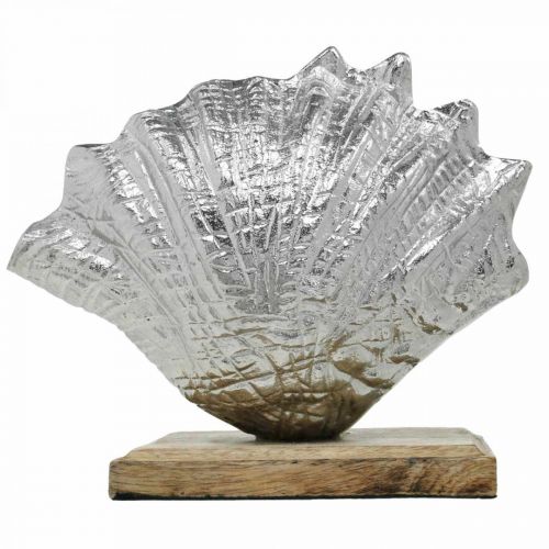 Prodotto Conchiglia da allestire, decoro marittimo in metallo con base in legno argento, naturale 16×19cm