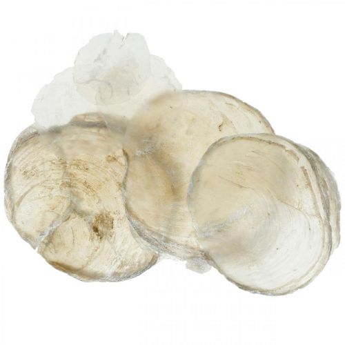 Dischi Di Conchiglia Capiz Per Gioielli Fai Da Te – Vintageparts: 20 Pezzi Da 20 Mm In Madreperla Naturale, Unisex, Stile Boho