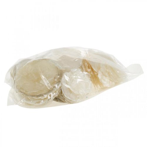 Prodotto Decorazione da spiaggia, conchiglie capiz 5-10 cm, oggetti naturali, madreperla, marittima 1 kg