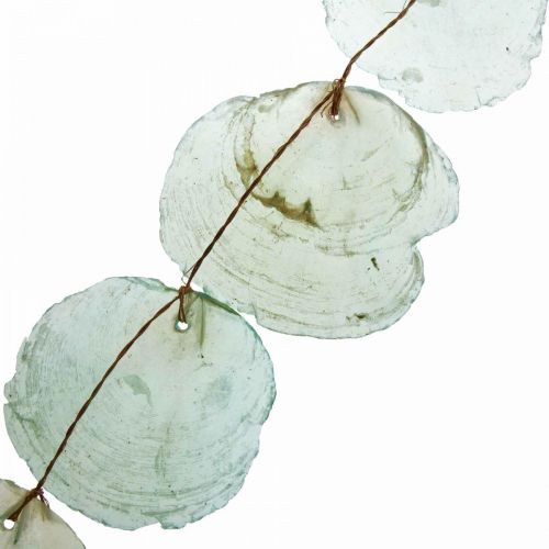 Floristik24 Ghirlanda di conchiglie Deco Capiz Ghirlanda di conchiglie Verde 100cm