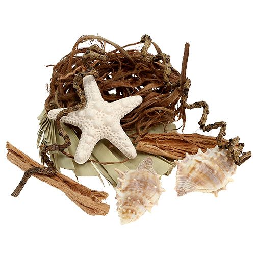 decorazione da porta con nappa conchiglie con nastri Logbuch-Verlag Decorazione marittima da appendere a forma di stella marina 