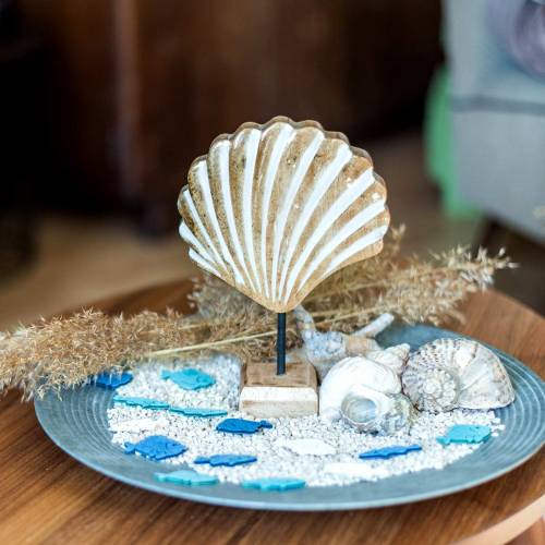 Floristik24 Scocca con base in legno bianco, natura 20×14cm Decorazione marittima per il soggiorno