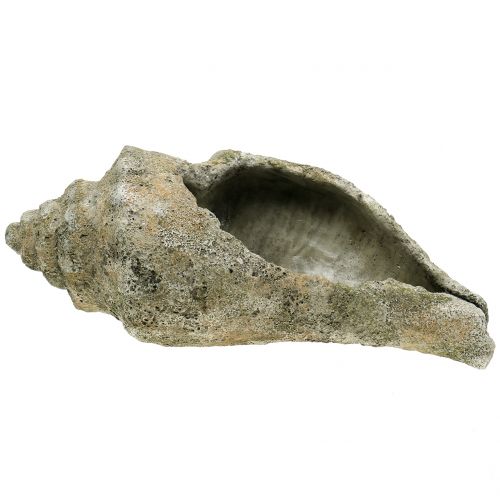 Floristik24 Guscio per piantare L40cm