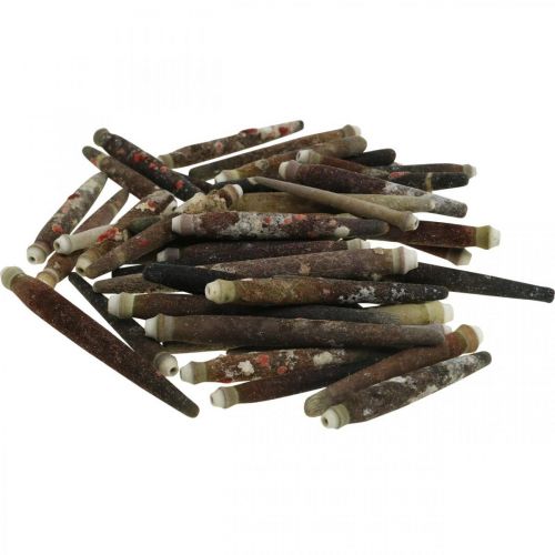 Prodotto Conchiglie decorative Spine di riccio, spine di riccio di mare, decorazione marittima L3–8cm 450g