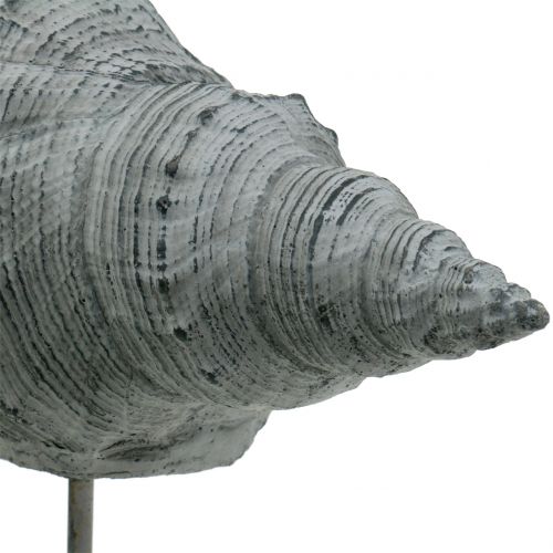 Floristik24 Statuina da giardino conchiglia su supporto H30cm