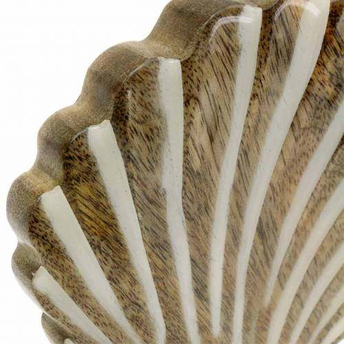 Floristik24 Scocca con base in legno bianco, natura 20×14cm Decorazione marittima per il soggiorno