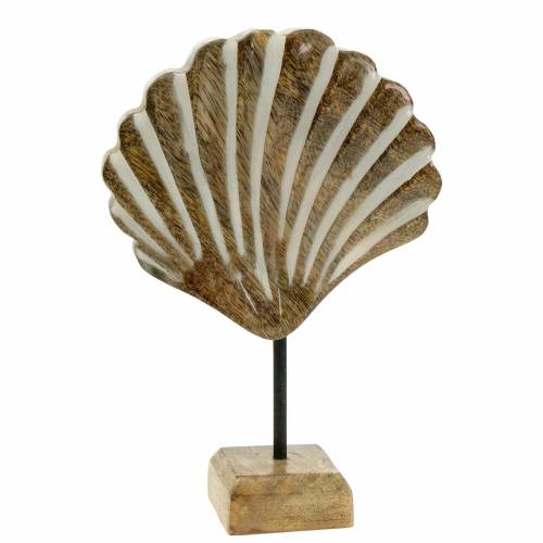 Floristik24 Scocca con base in legno bianco, natura 20×14cm Decorazione marittima per il soggiorno
