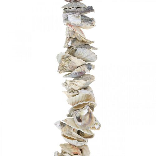 Prodotto Ghirlanda con conchiglie, decorazione marittima, estiva, collana di conchiglie colori naturali L130cm