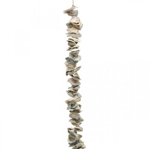Prodotto Ghirlanda con conchiglie, decorazione marittima, estiva, collana di conchiglie colori naturali L130cm