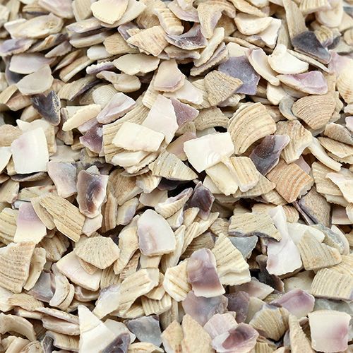 Prodotto Granuli di conchiglia 2mm - 3mm naturali 2kg