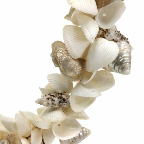 Floristik24 Ghirlanda di conchiglie bianco naturale Ø40cm