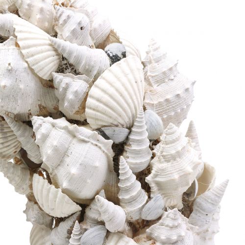 Floristik24 Ghirlanda di conchiglie bianca Ø30cm