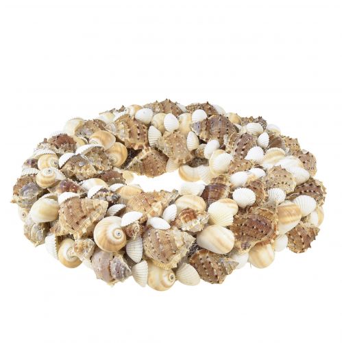 Floristik24 Ghirlanda di conchiglie Ghirlanda di lumache da appendere in cocco naturale Ø25cm