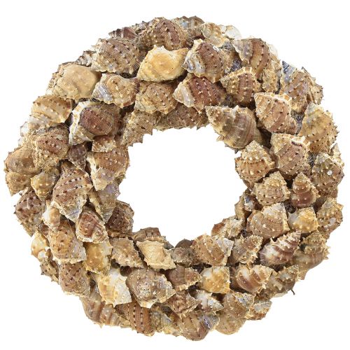 Corona di conchiglie decorazione da parete Corona decorativa naturale da appendere Ø35 cm