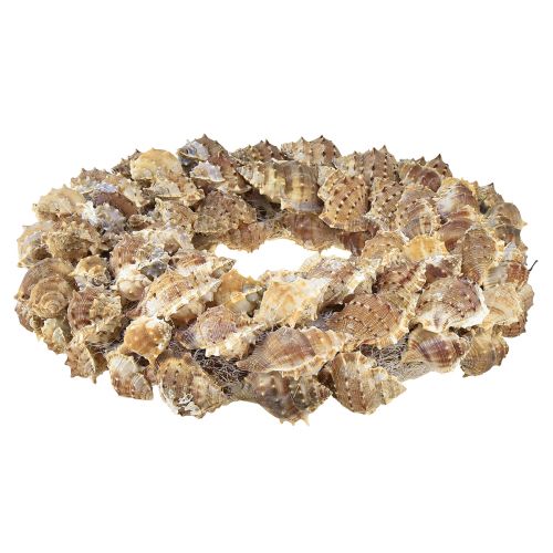 Prodotto Corona di conchiglie decorazione da parete Corona decorativa naturale da appendere Ø35 cm