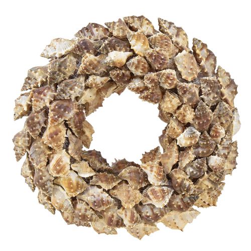 Floristik24 Ghirlanda di conchiglie per appendere la decorazione di conchiglie di cocco marrone Ø24cm