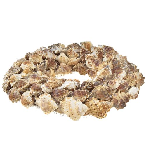 Prodotto Ghirlanda di conchiglie per appendere la decorazione di conchiglie di cocco marrone Ø24cm
