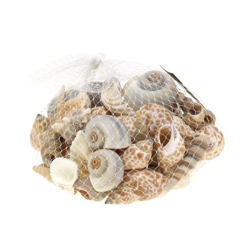Floristik24 Shell mix naturale 500g