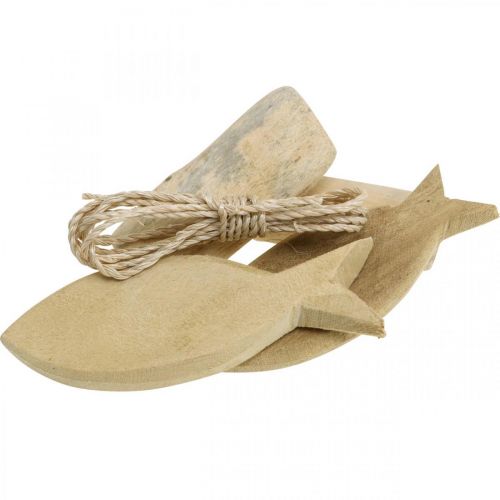 Floristik24 DIY-Box Maritime Set di decorazioni in legno di conchiglie naturali assortite