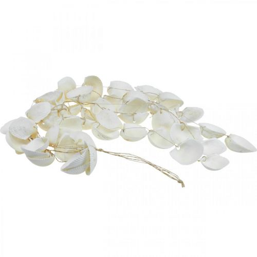 Floristik24 Ghirlanda di conchiglie Ghirlanda di conchiglie decorazione marittima L87cm