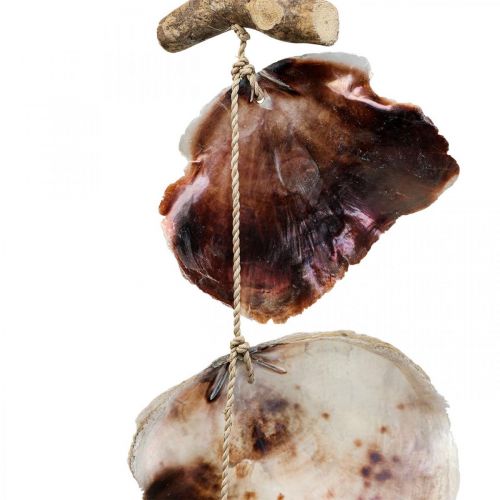 Ghirlanda di conchiglie Ghirlanda di conchiglie decorazione marittima 150cm