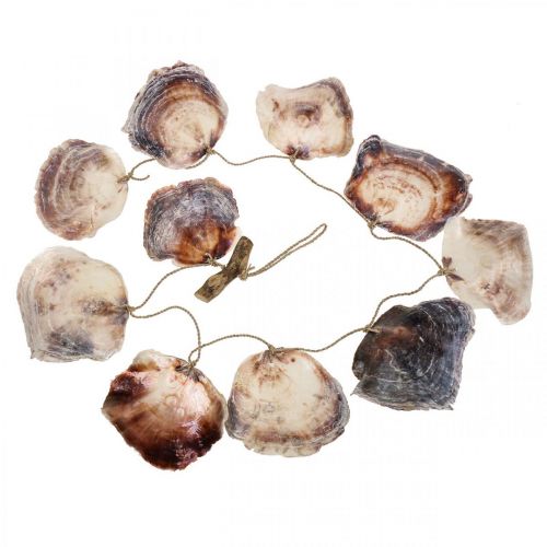 Prodotto Ghirlanda di conchiglie Ghirlanda di conchiglie decorazione marittima 150cm
