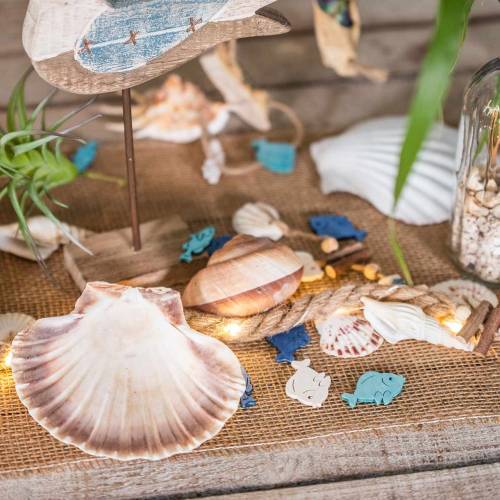 Floristik24 Capesante decorazione conchiglia lucida 12-13 cm 4 pz