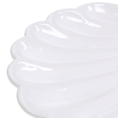 Floristik24 Guscio decorativo Shell bianco 15 cm x 16 cm 3 pezzi