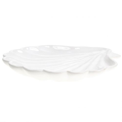 Floristik24 Guscio decorativo Shell bianco 15 cm x 16 cm 3 pezzi