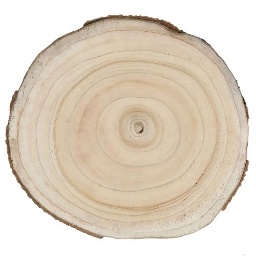 Prodotto Fetta d&#39;albero albero di campanula naturale Ø30-35cm 1 pz