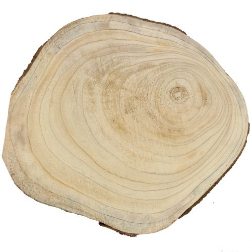 Floristik24 Albero disco campana blu albero natura Ø35–45cm
