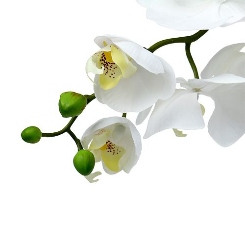 Orchidea falena 75 cm bianca