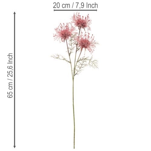 Ramo fiorito di protea a forma di cuscinetto di fiori artificiali, 65 cm, 3 pezzi | Floristik24.it
