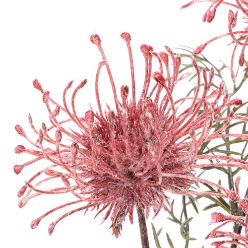 Ramo fiorito di protea a forma di cuscinetto di fiori artificiali, 65 cm, 3 pezzi | Floristik24.it