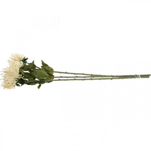 Prodotto Puntaspilli fiori artificiali esotici Protea Leucospermum crema 73 cm 3 pezzi