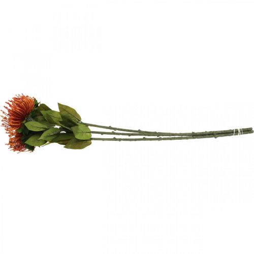 Prodotto Puntaspilli Fiore Artificiale Esotico Arancio Leucospermum Protea 73cm 3pz