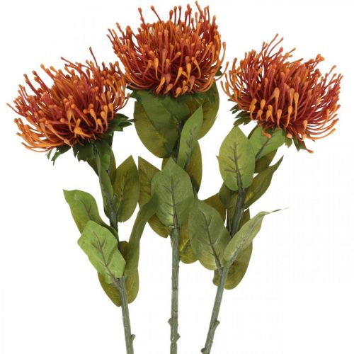Prodotto Puntaspilli Fiore Artificiale Esotico Arancio Leucospermum Protea 73cm 3pz