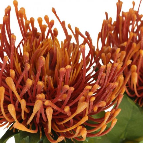 Prodotto Puntaspilli Fiore Artificiale Esotico Arancio Leucospermum Protea 73cm 3pz