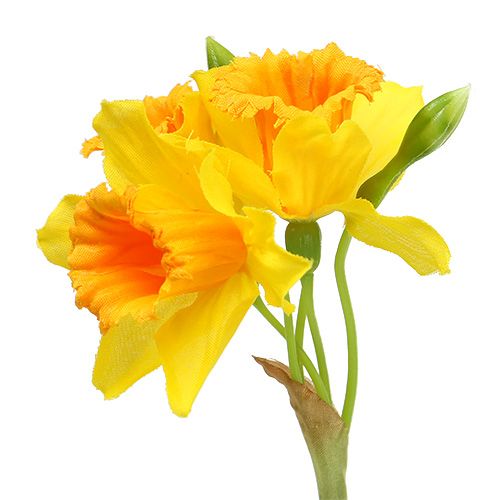 Floristik24 Giallo narciso L40cm