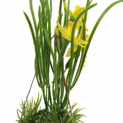 Floristik24 Narciso nel guscio d&#39;uovo da appendere Artificial yellow 25cm