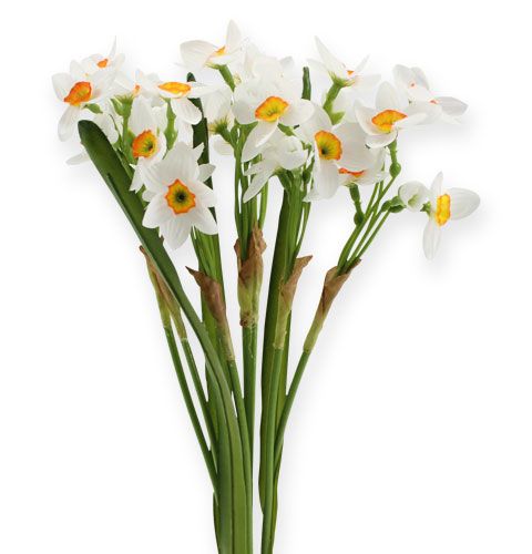 Floristik24 Bouquet di narcisi in bianco 35cm 3 pezzi