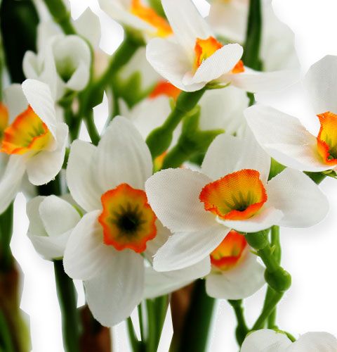 Floristik24 Bouquet di narcisi in bianco 35cm 3 pezzi