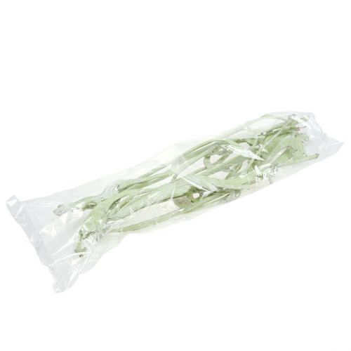 Prodotto Natraj Mix verde mela, sbiancato 10 pz